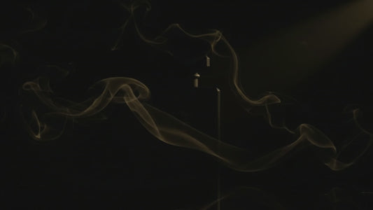 SDC SAVAGE NOIR